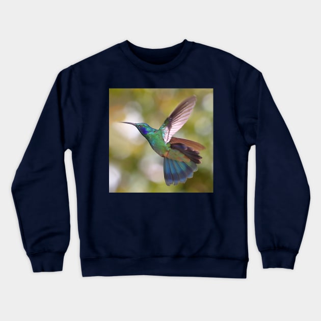 Green Violetear Hummingbird Crewneck Sweatshirt by Carole-Anne